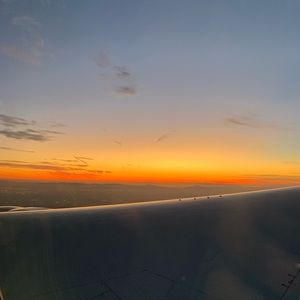 Meet your Posher, Joey